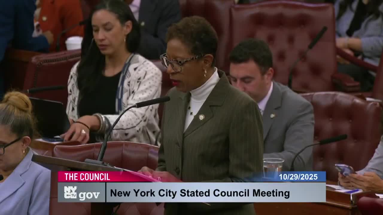 City Council advances maternal‑health package to strengthen data, coverage and services