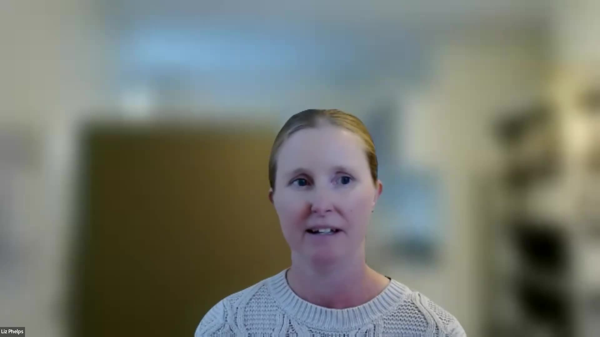 Coastal resilience advisory committee agrees on site-specific protocol for regulatory referrals