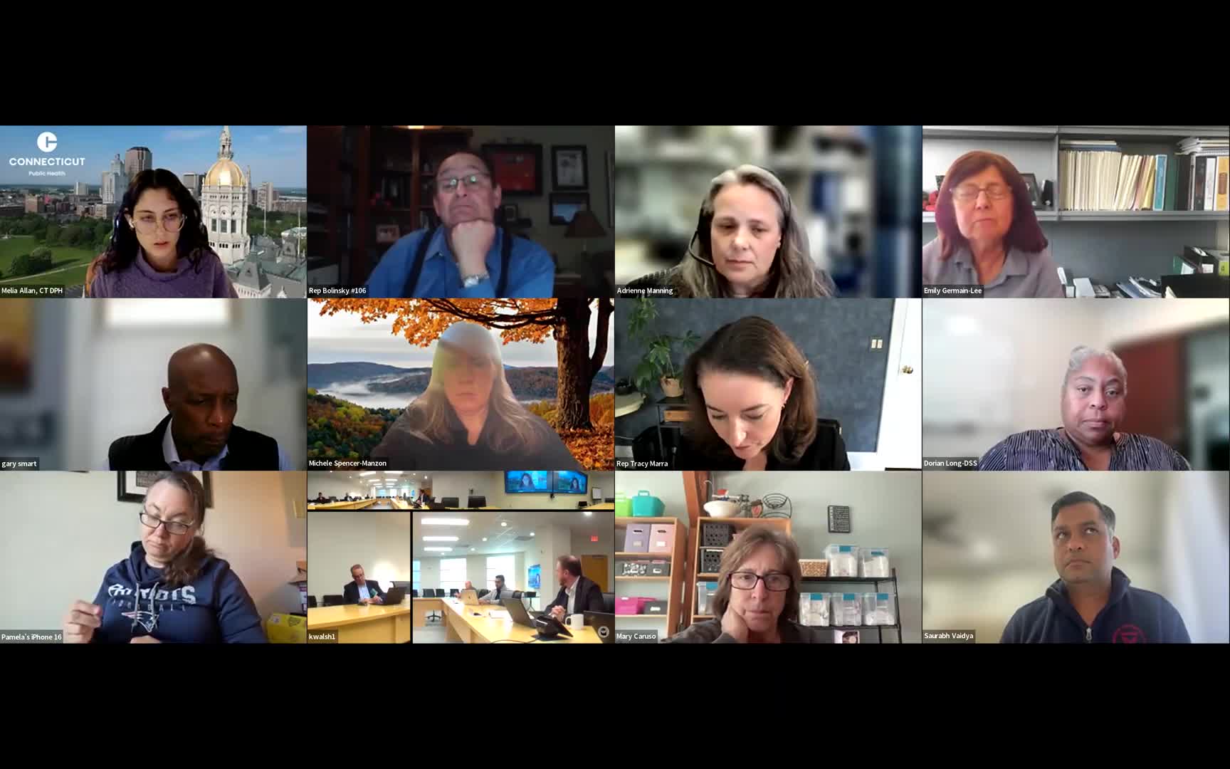 Rare Disease Advisory Council fills two executive‑team vacancies; votes unanimous