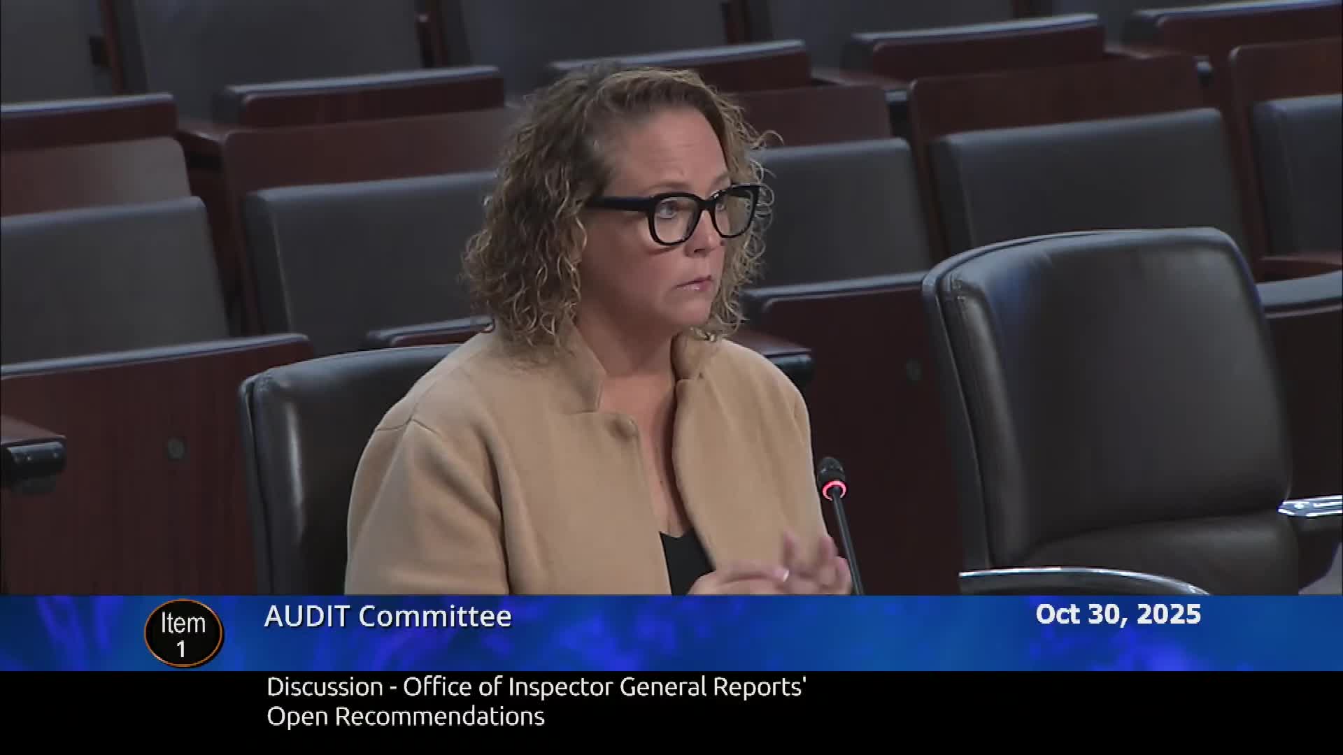 Audit committee demands two-week update from police on long-open financial recommendations