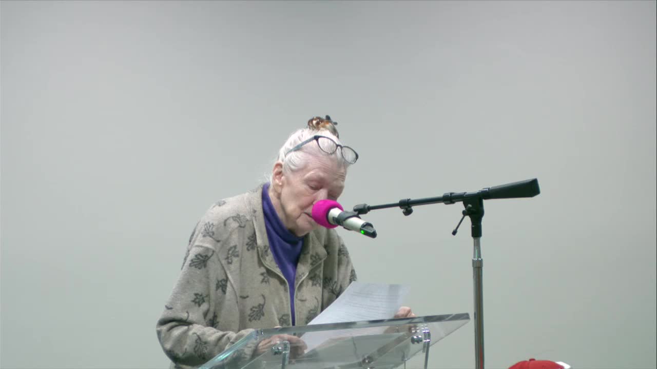 Prince William adopts revised noise ordinance for data centers after marathon hearing