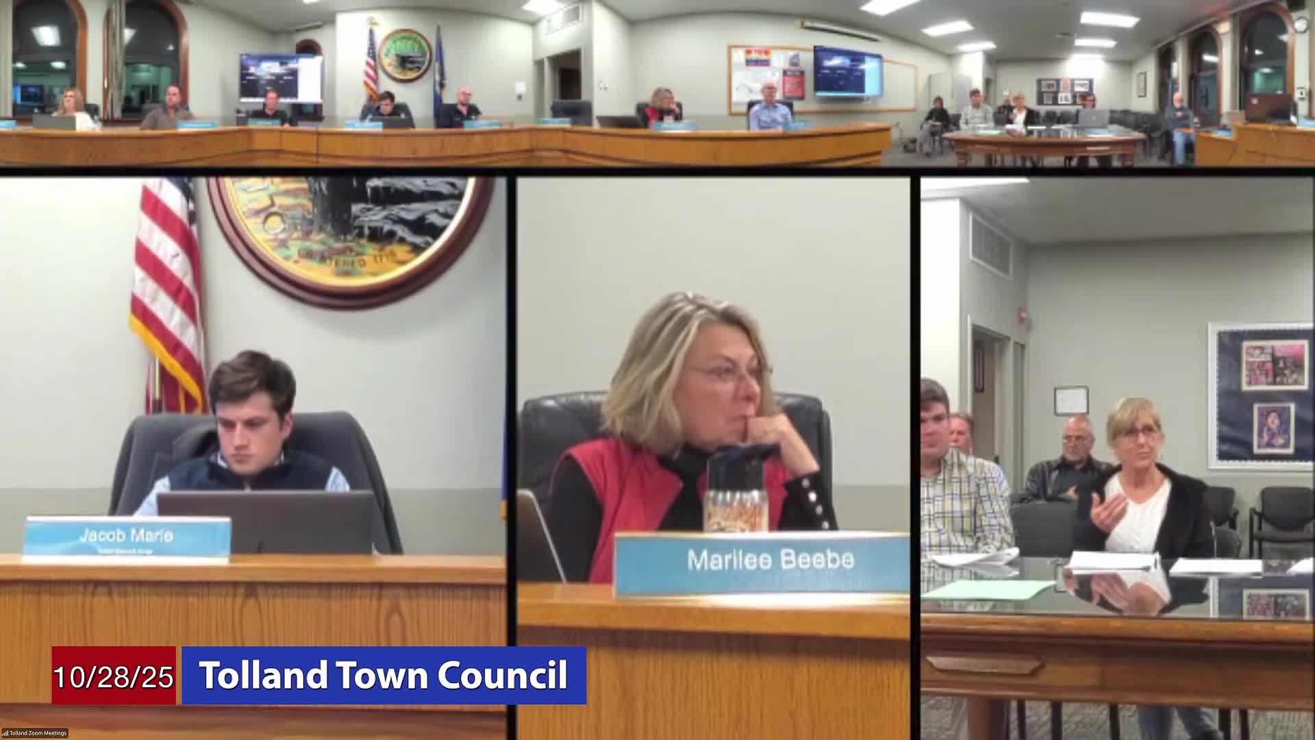 Economic development commission presents concise plan; council discusses market targets and outreach