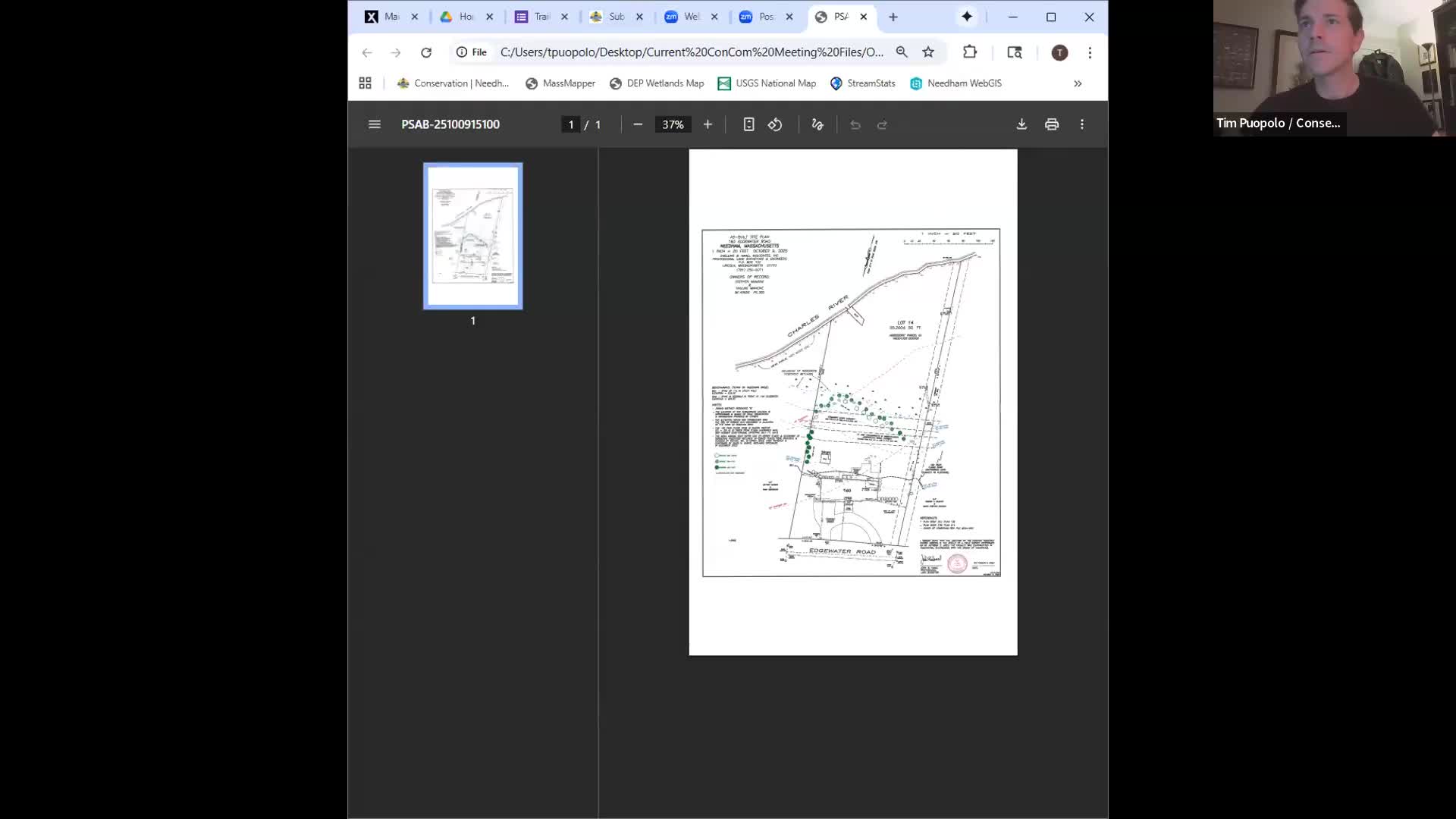 Needham commissioners question planting locations after 21 pines removed at 160 Edgewater Drive
