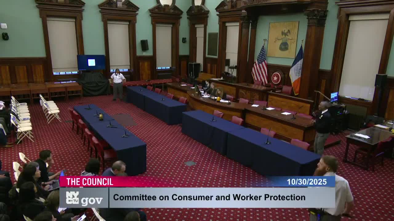 Council committee hears wide-ranging testimony on Allan Etienne Safety and Security Act to set pay, training for security guards