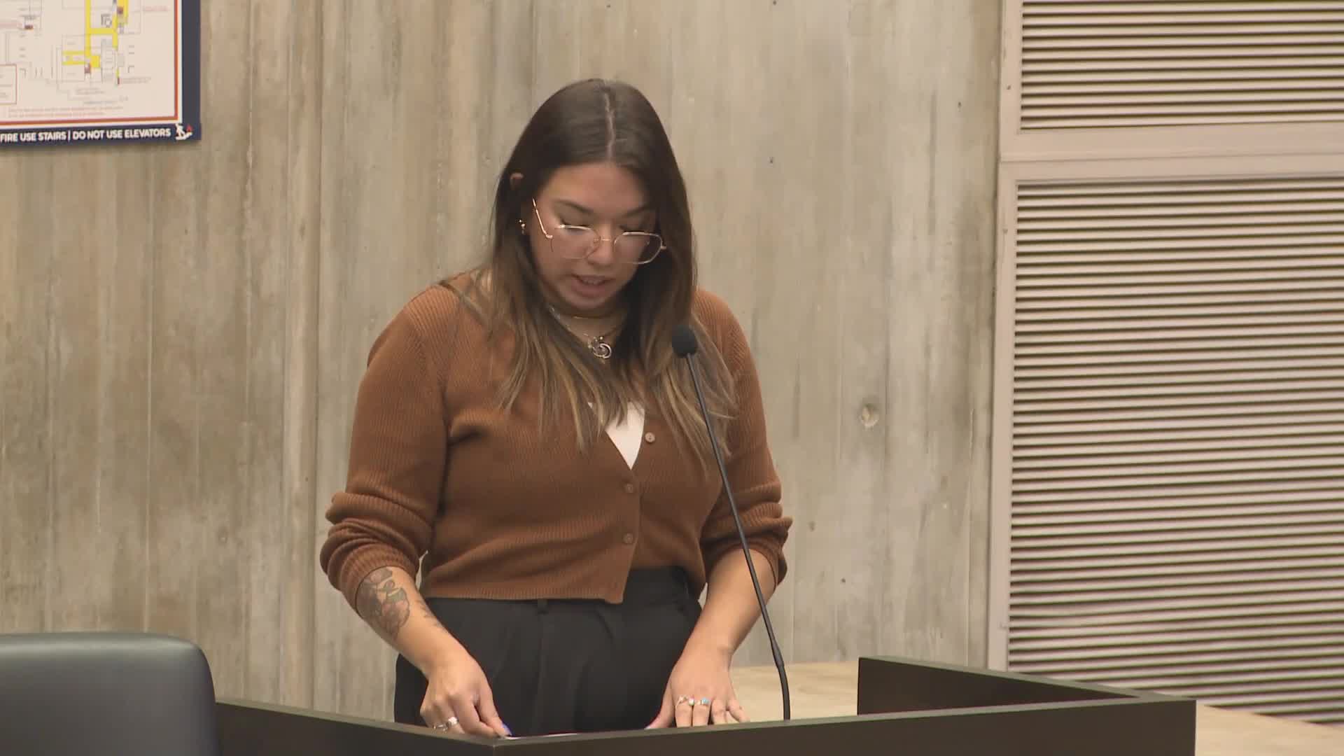 Council Committee Hears Case to Codify Office of Youth Engagement and Advancement