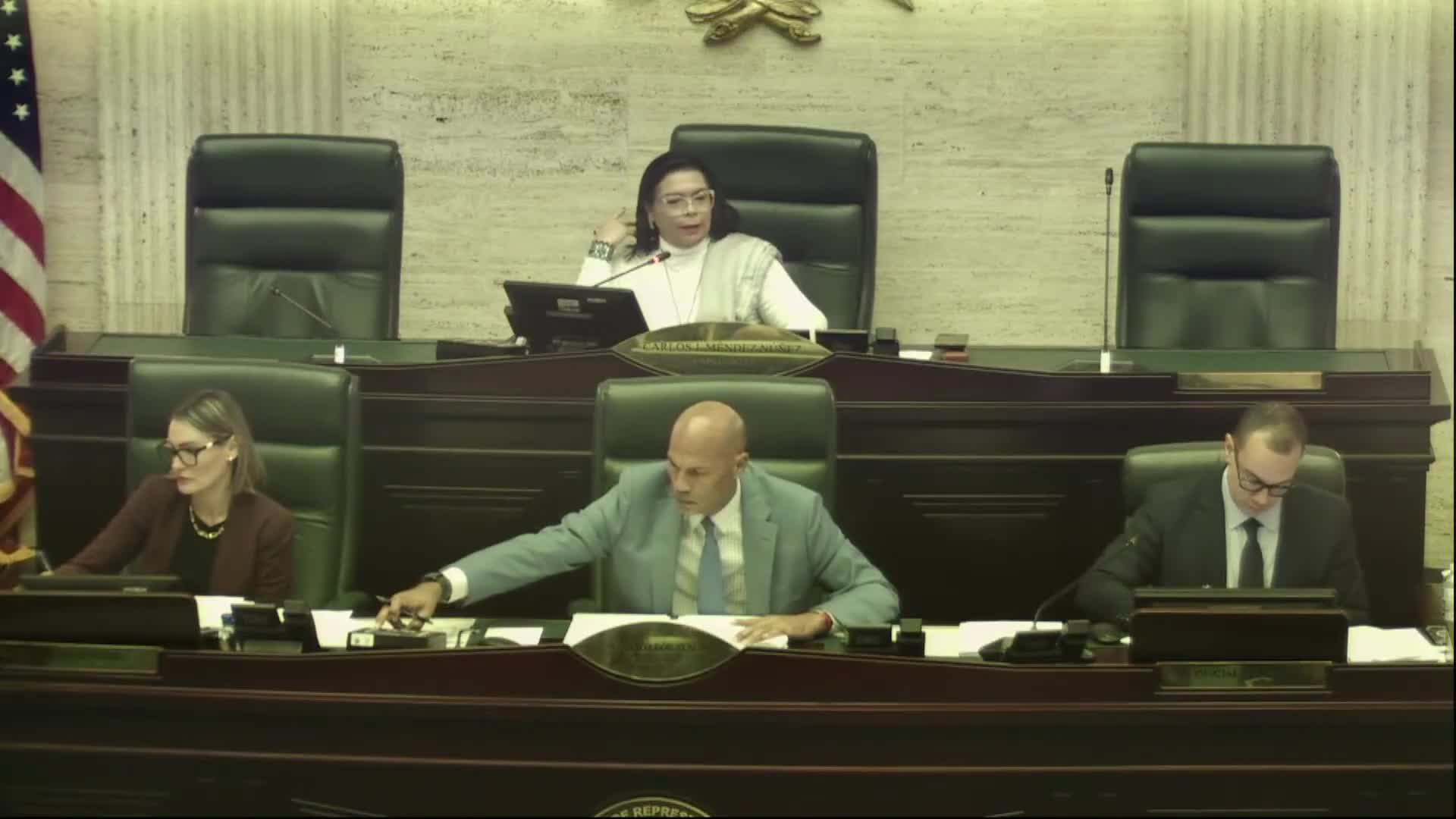 House defers bill that would require drug tests for recreation staff after law‑drafting concerns