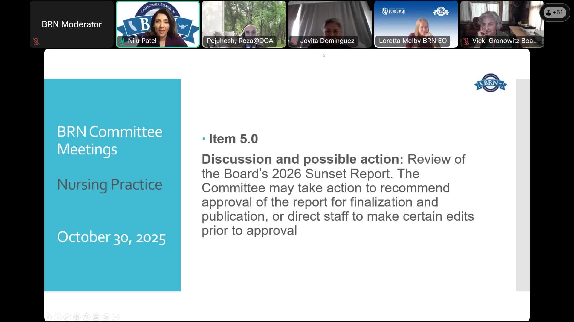 Nursing Practice Committee recommends board  s 2026 sunset report with edits on intervention, stipend and DUI language