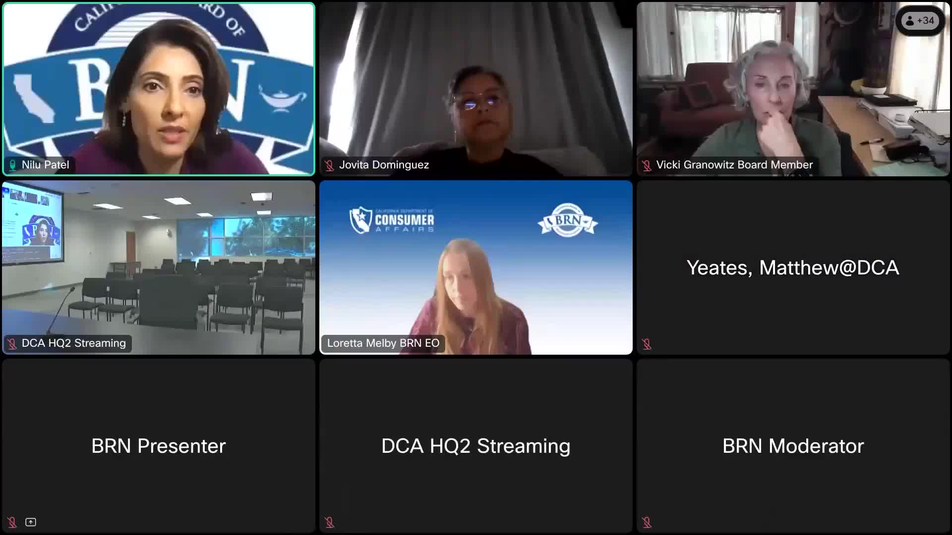 BRN advisory committees report progress on NP 104 pathway, midwifery certification and clinical placement challenges