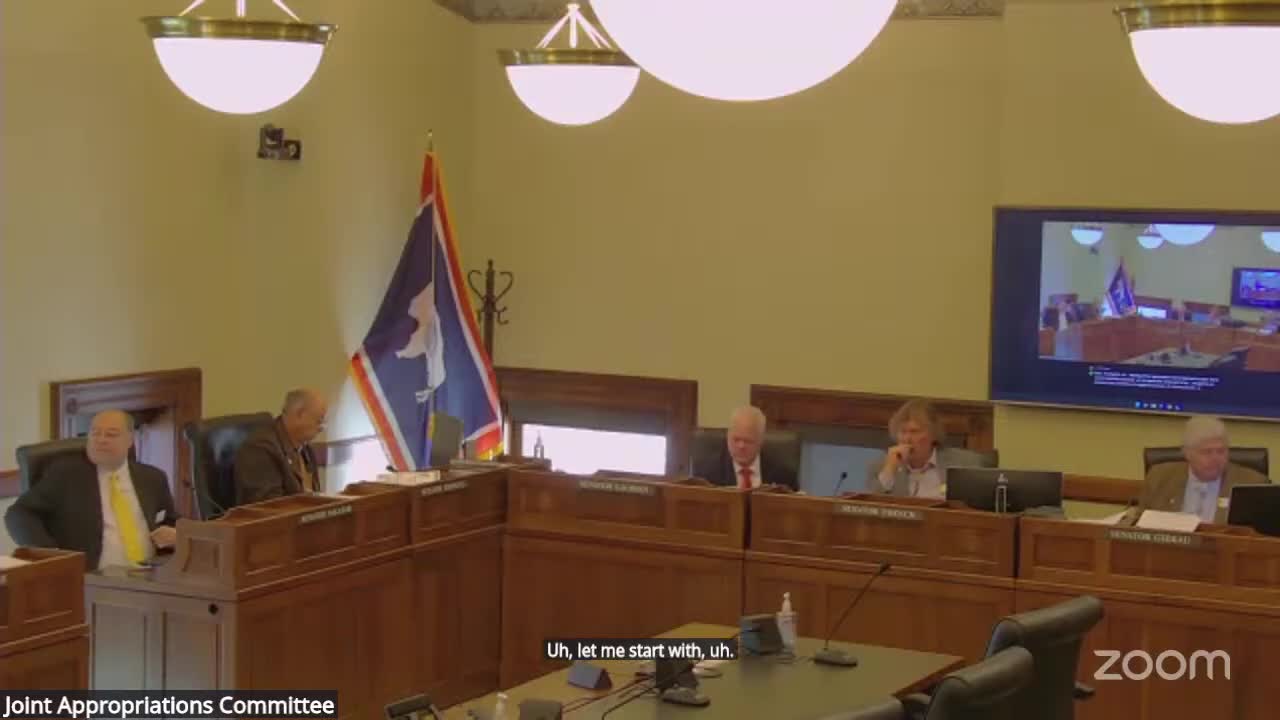 Appropriations committee requests bill drafts to expand "smokebuster" capacity and create a state wildland suppression module