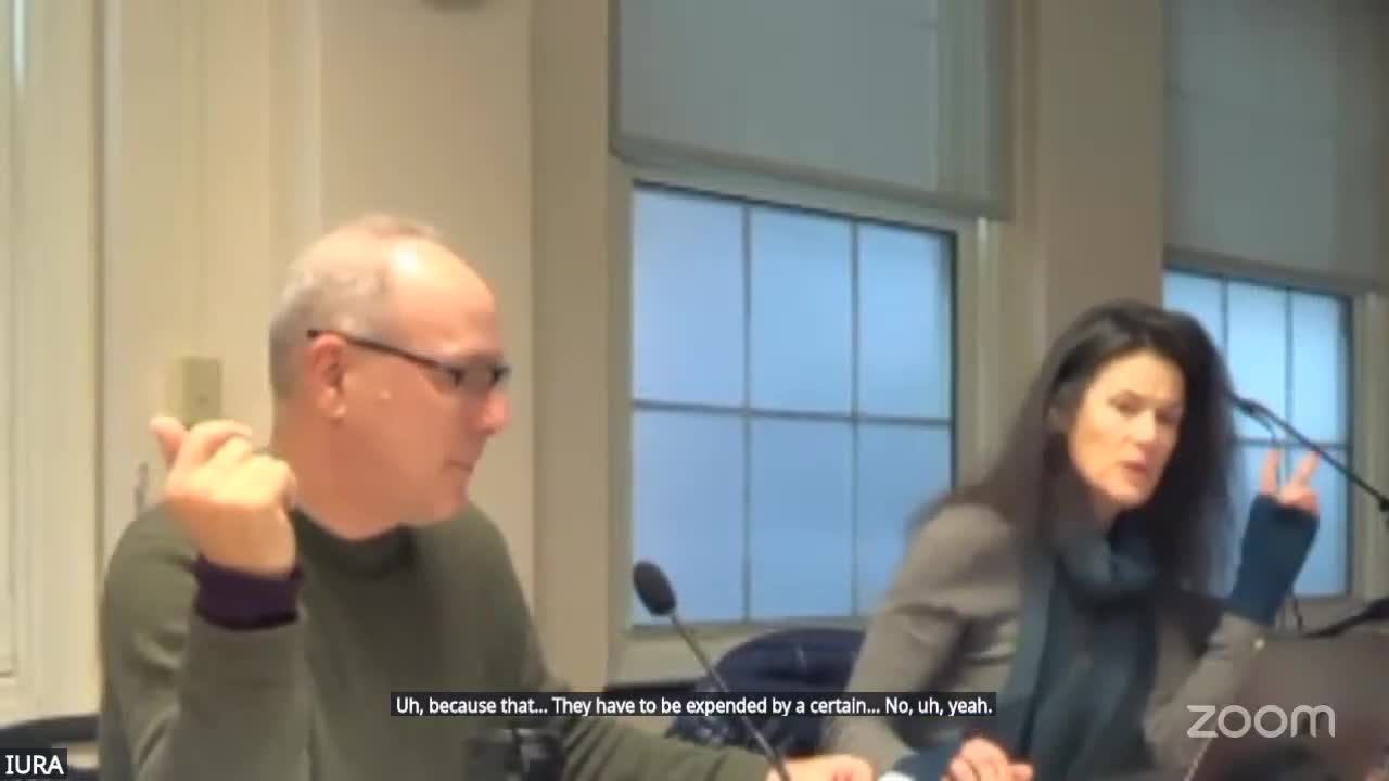 Ithaca IRA outlines Inlet Island, Seneca Garage and 'Lucy' development planning