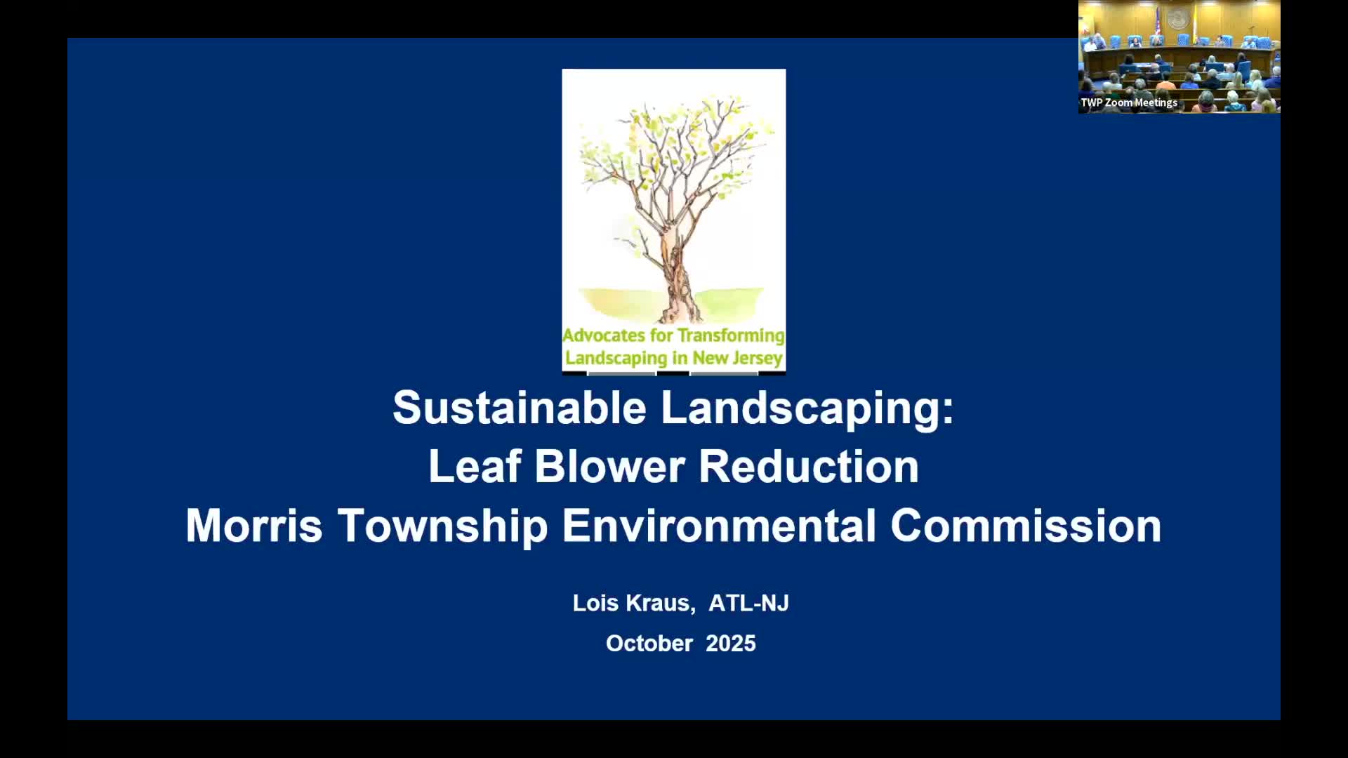 Advocates press for limits on gas-powered leaf blowers, propose rebates and seasonal bans