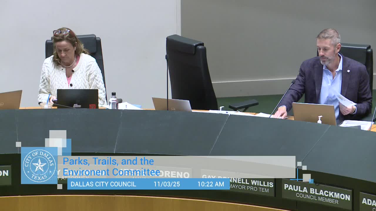 Dallas forms interdepartmental working group to align 2024 bond projects with CCAP; checklist to be piloted