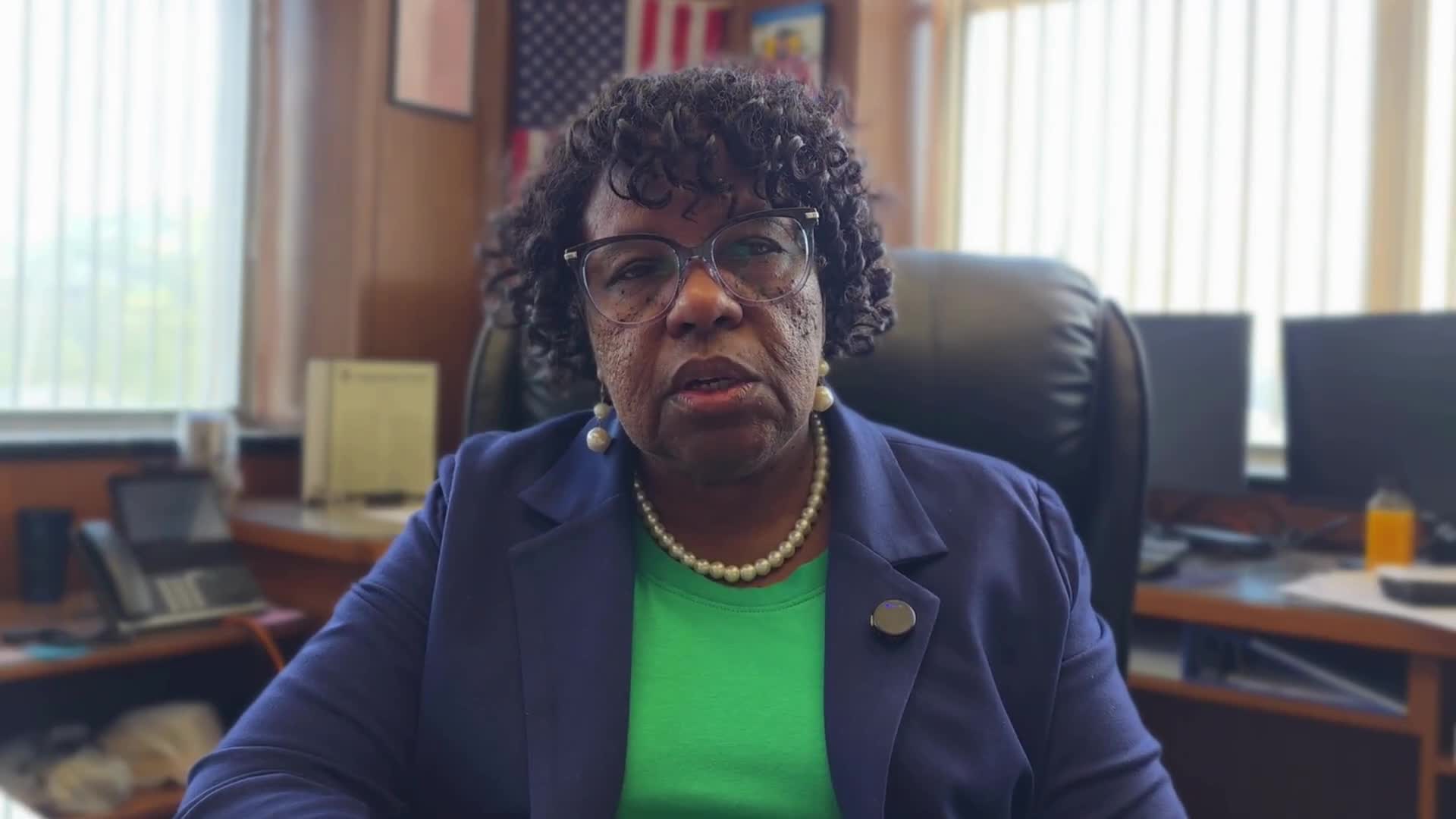 Highland Park to install 50 donated solar streetlights in five-year pilot after council approval