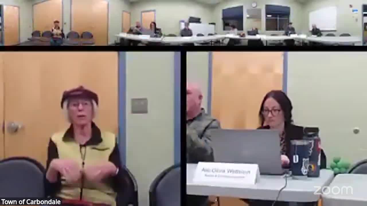 Advocate urges Carbondale commission to help draft Complete Streets resolution; AARP offers free consultation