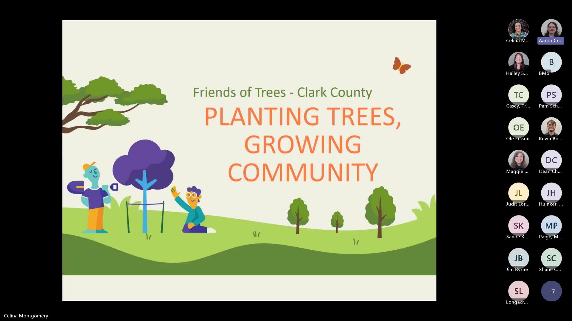 Local experiments in trees, low-impact development and lawn outreach aim to reduce runoff and heat