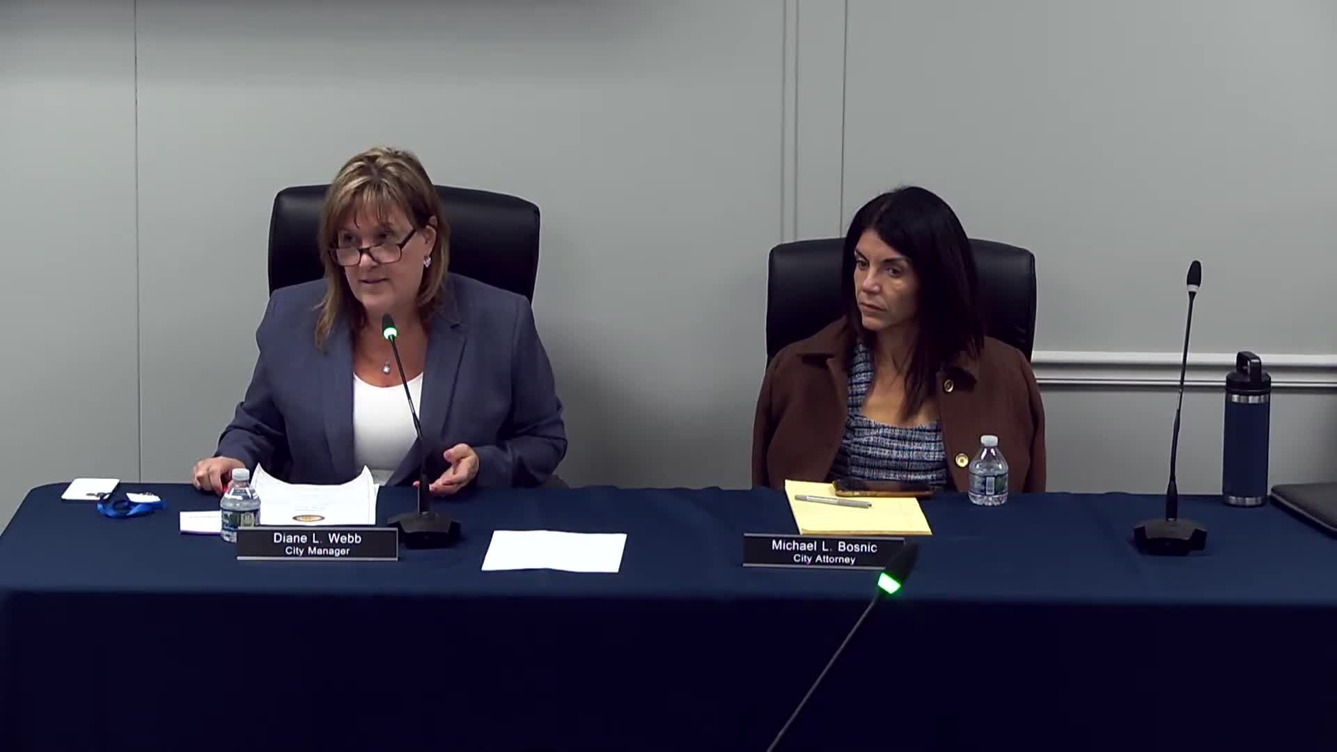 Wayne officials say Gaudi Park work near completion; library parking lot to open after debris removal