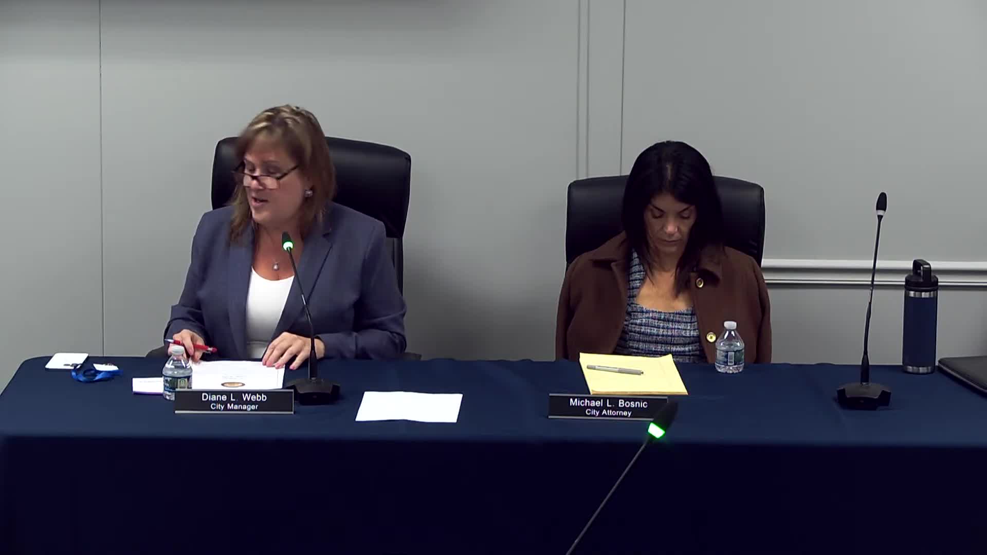 Wayne hires Elena Brosh to assist charter revision and employee handbook updates