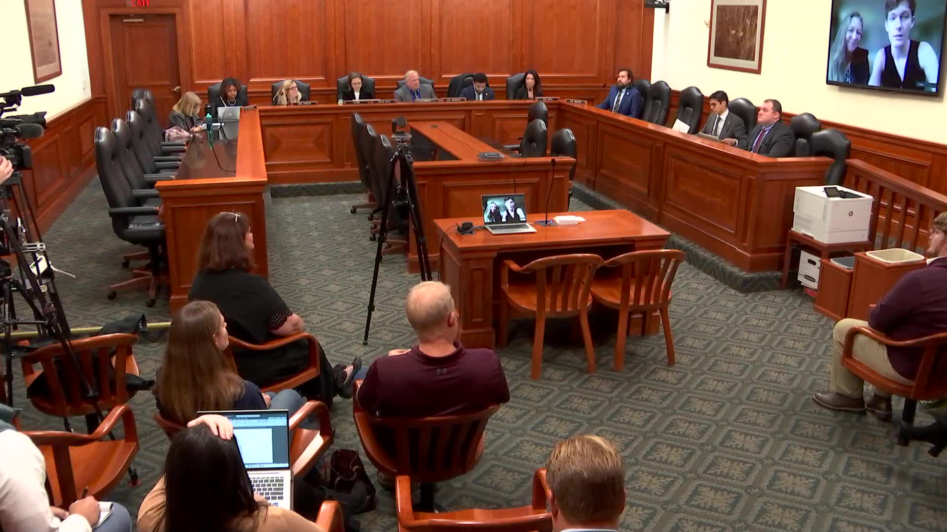 Michigan House subcommittee hears testimony alleging harms from pediatric gender‑affirming care