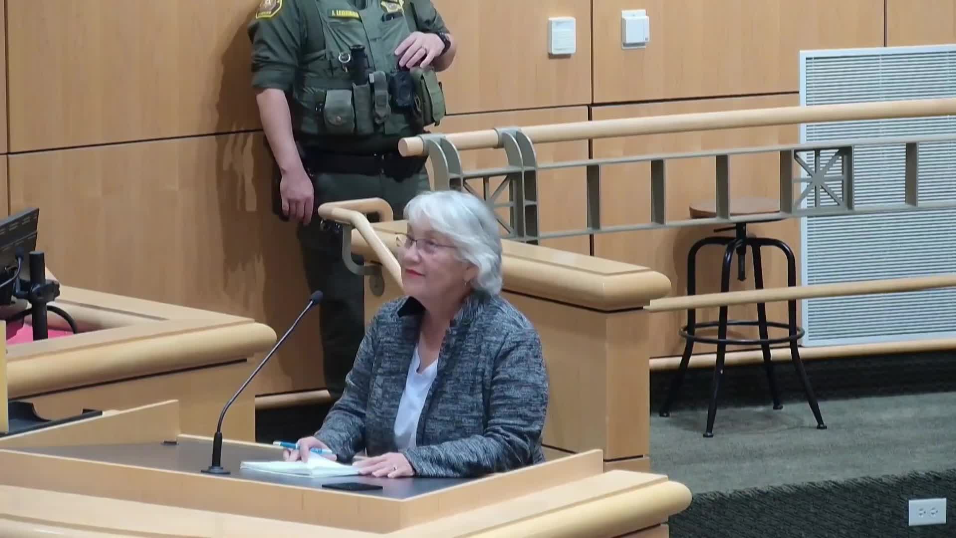 Public speakers blast boards earlier move on True North behavioral health project; many urge reconsideration