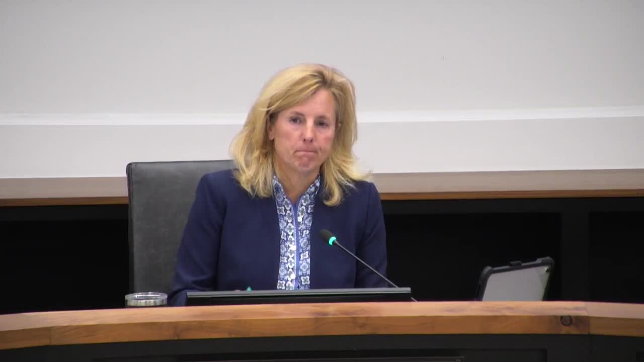 Resident warns of transparency gaps in Envision Dublin fiscal‑impact analysis; plans records request