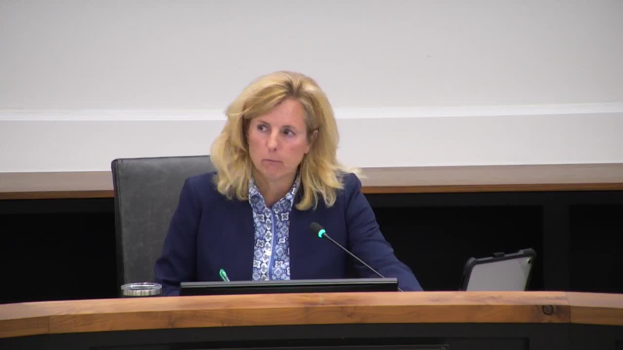 Dublin council adopts 2026 budget, removes $250,000 parking-study placeholder