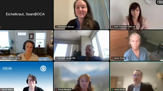 Medical Board staff reviews multiple bills affecting midwifery, including licensure, payment and screening requirements