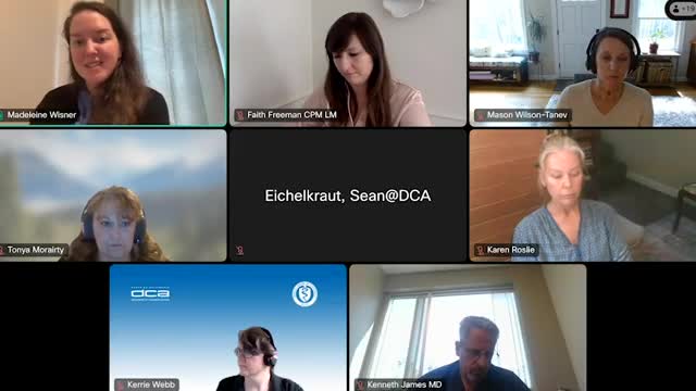 Midwife‑researcher presents interviews identifying fear of abandonment and distrust as drivers of 'free birth'