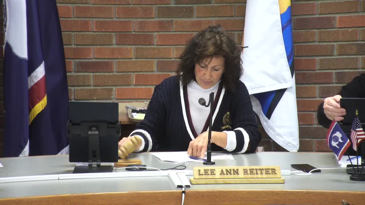 Council fills vacancies on airport and planning boards; makes staggered-term appointments