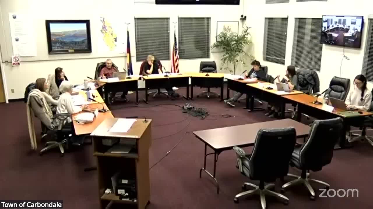 CPAC seeks clarity on stalled InsaneCycle sculpture donation; staff to list contract sticking points