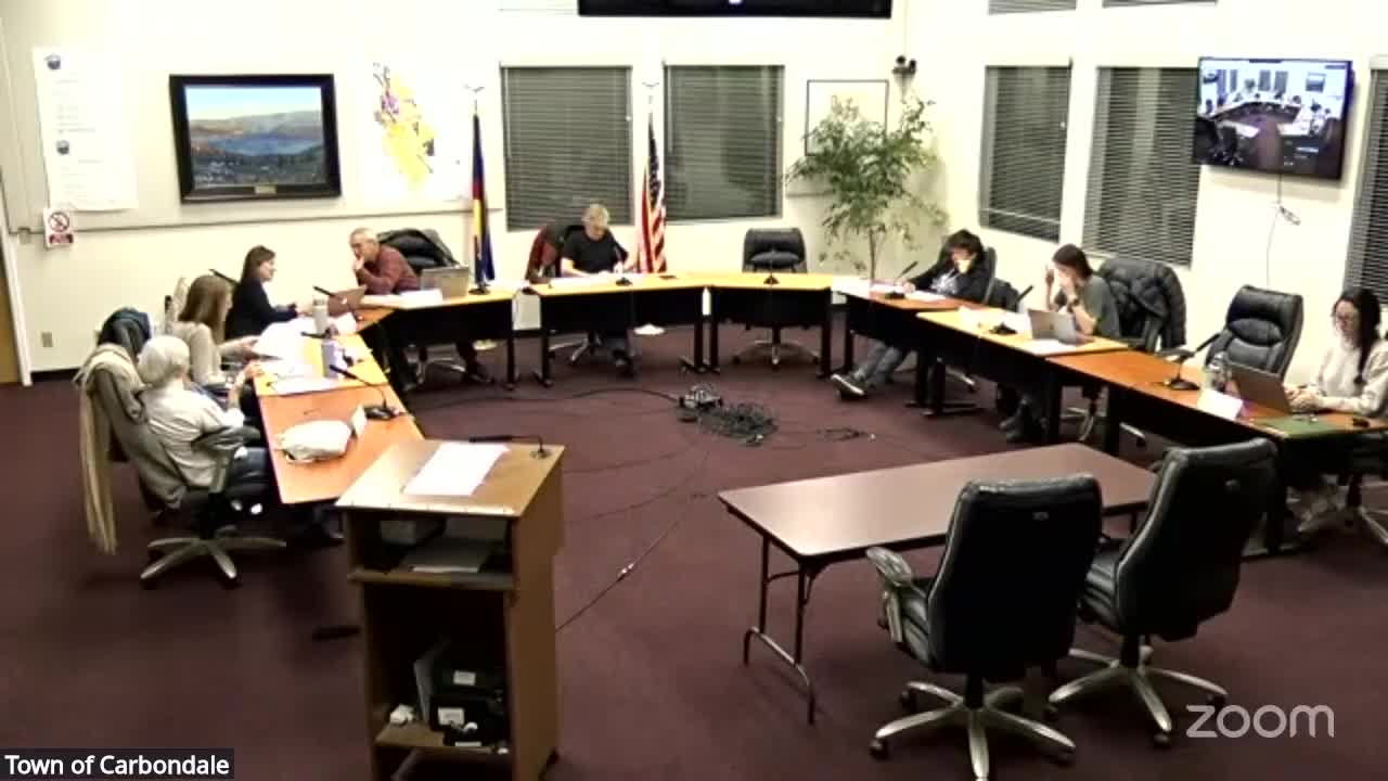 CPAC finalizes 2026 art-around-town timeline and debates higher artist travel stipends