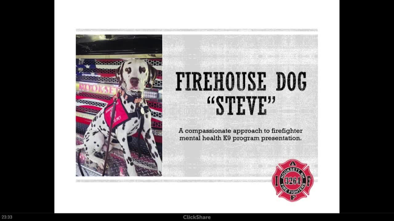 Hooksett council approves volunteer 'comfort canine' program for firefighters