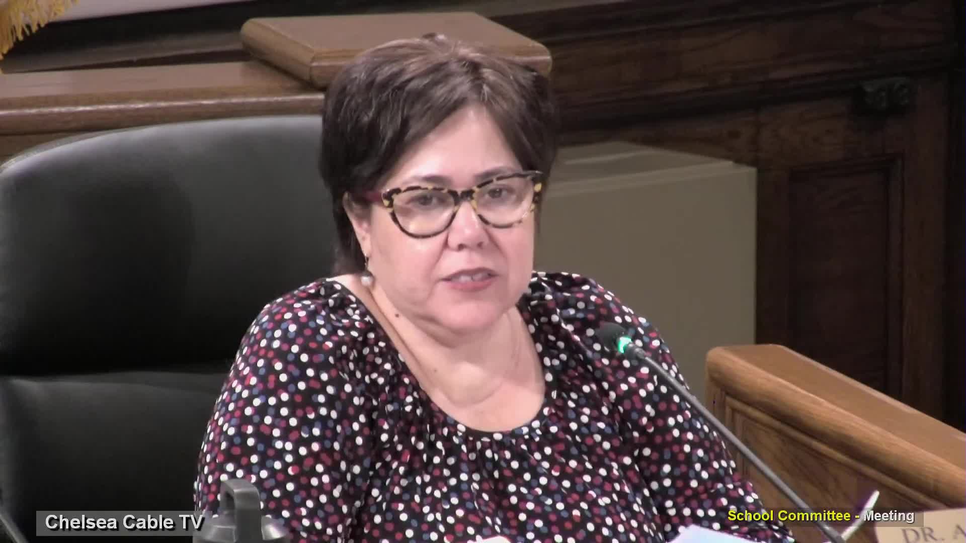 Chelsea Public Schools details security measures, random searches and Yonder pouch enforcement at committee meeting