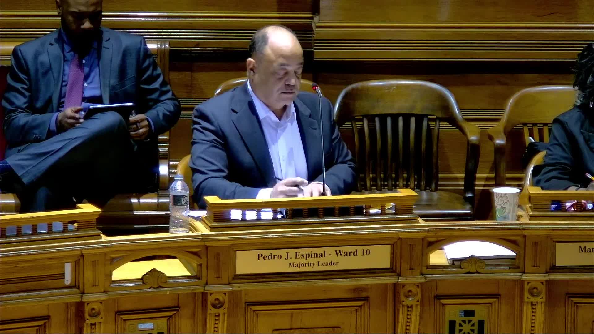 Providence council honors longtime library advocate Patricia Raub