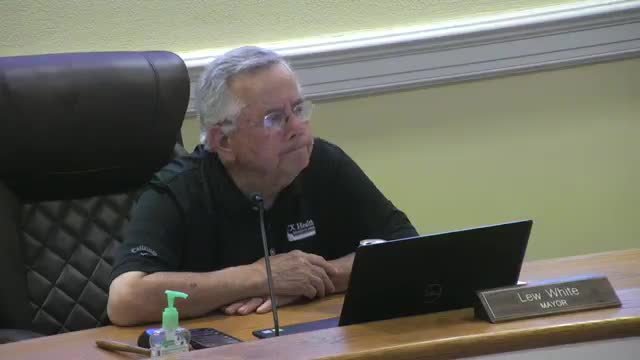 Council Approves 30‑Year Ground Lease for 10,000‑Square‑Foot Hangar at Lockhart Airport