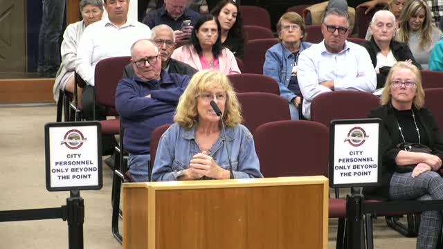 Council delays decision on low-barrier navigation centers; staff had identified four vacant candidate sites