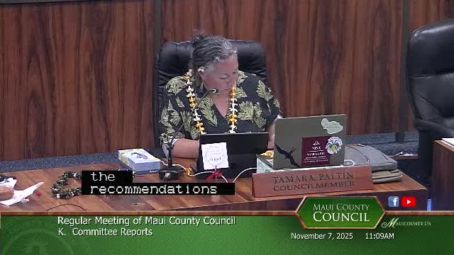 Council adopts updated hazard mitigation plan to maintain federal grant eligibility