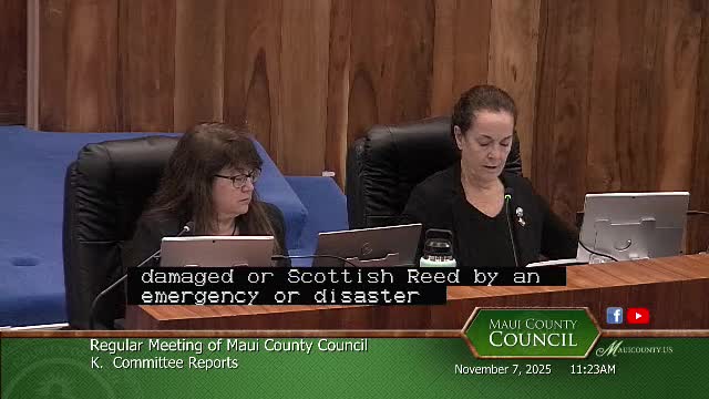 Council backs bill to allow replacement of awnings, canopies and similar overhead structures after declared disasters