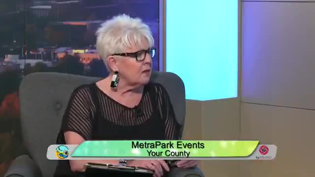 After a prior incident Metropark repositions command center, cites visible sheriff presence and new logistics for safer fair operations