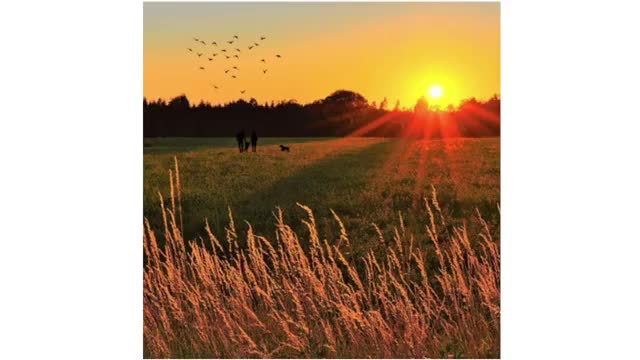 Commissioners approve transfers, permits and a township road acceptance; multiple motions passed by voice vote