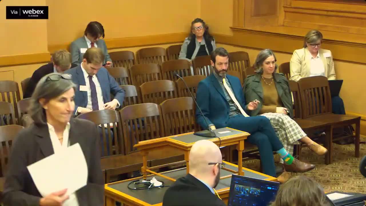 Post Audit: Three counties spent $28.8M in 2024 on state-mandated services; county officials say they still need local flexibility