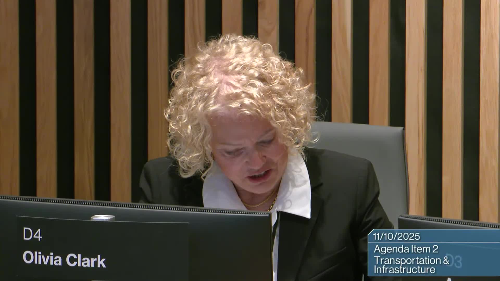 Portland officials outline next steps after voters approve 2025 parks levy