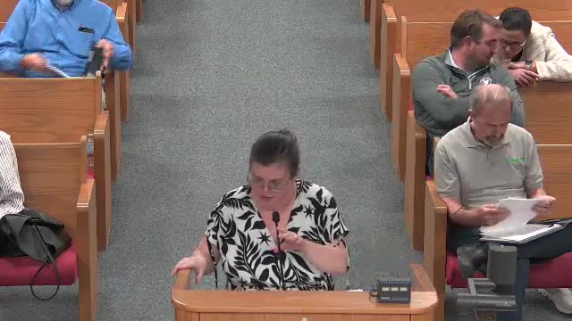 Hernando staff outlines new buffer standards and AI-assisted plan checks to speed reviews and boost landscape performance