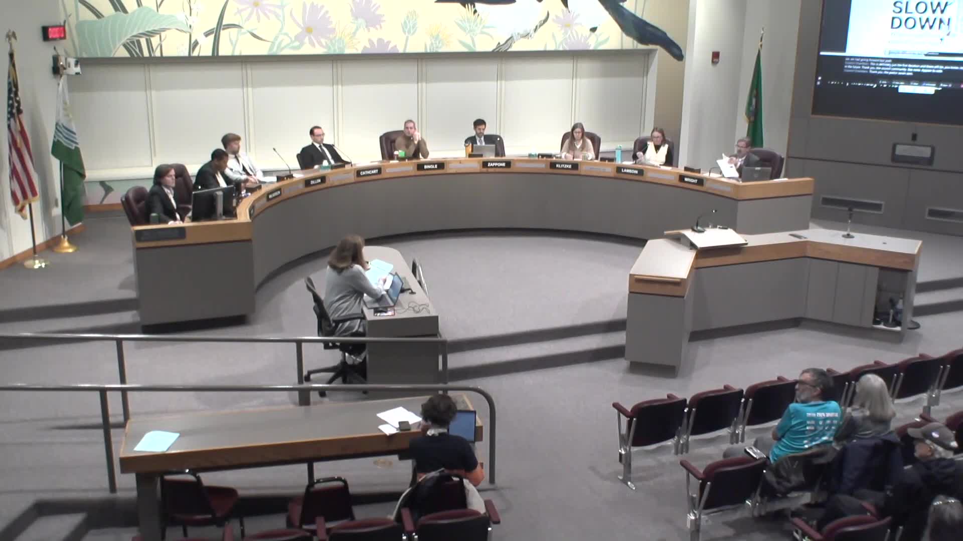 Council affirms emergency resolution to implement Safe and Accessible Public Spaces ordinance amid SNAP, process debates