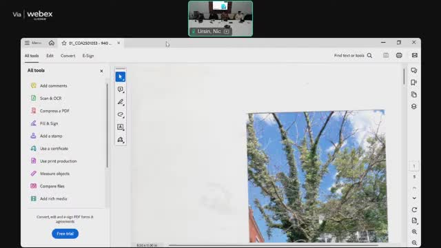 Commission approves tree removal at 940 Hamlet with retaining-wall notice to applicant