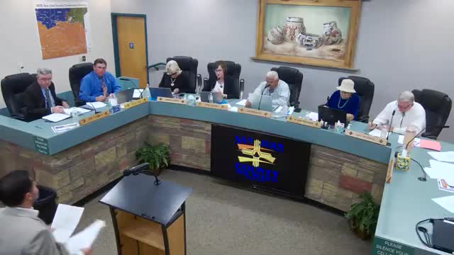 Designs for McGee Park propose flexible uses from tournaments to cultural gatherings