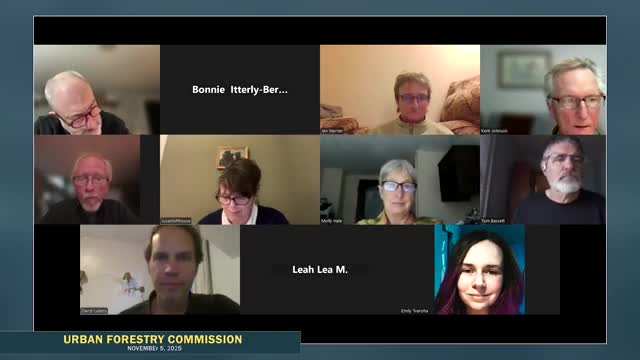 Northampton volunteers pitched to care for young street trees in trial program