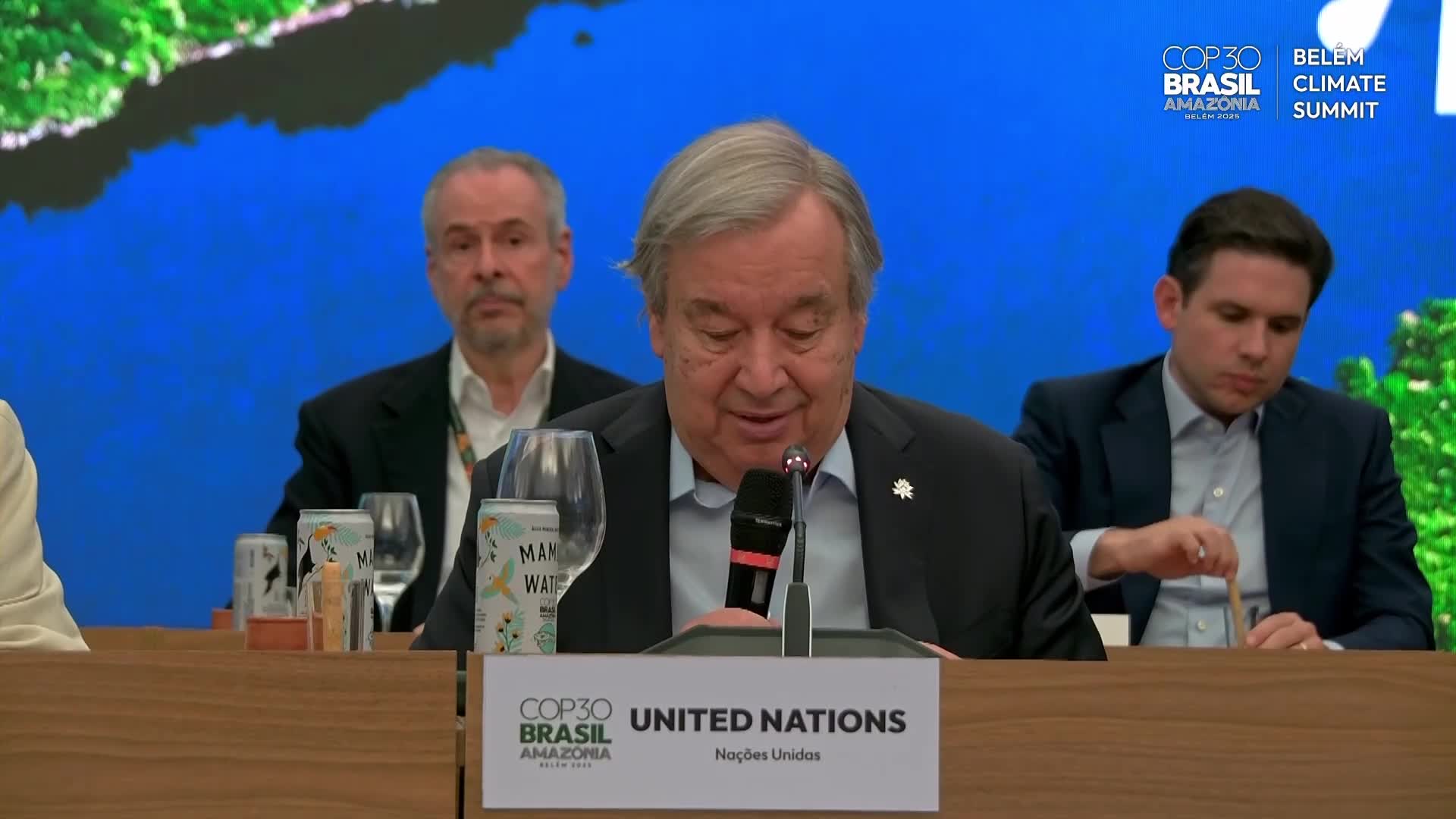 Launch of Tropical Forest Forever Facility urges long-term finance to keep forests standing