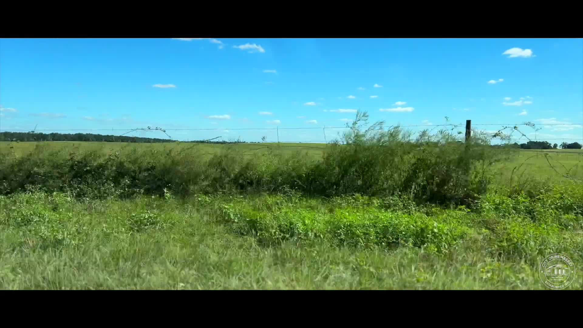 Mayor: Company picks City of Newberry for first of 10 ag-tech facilities