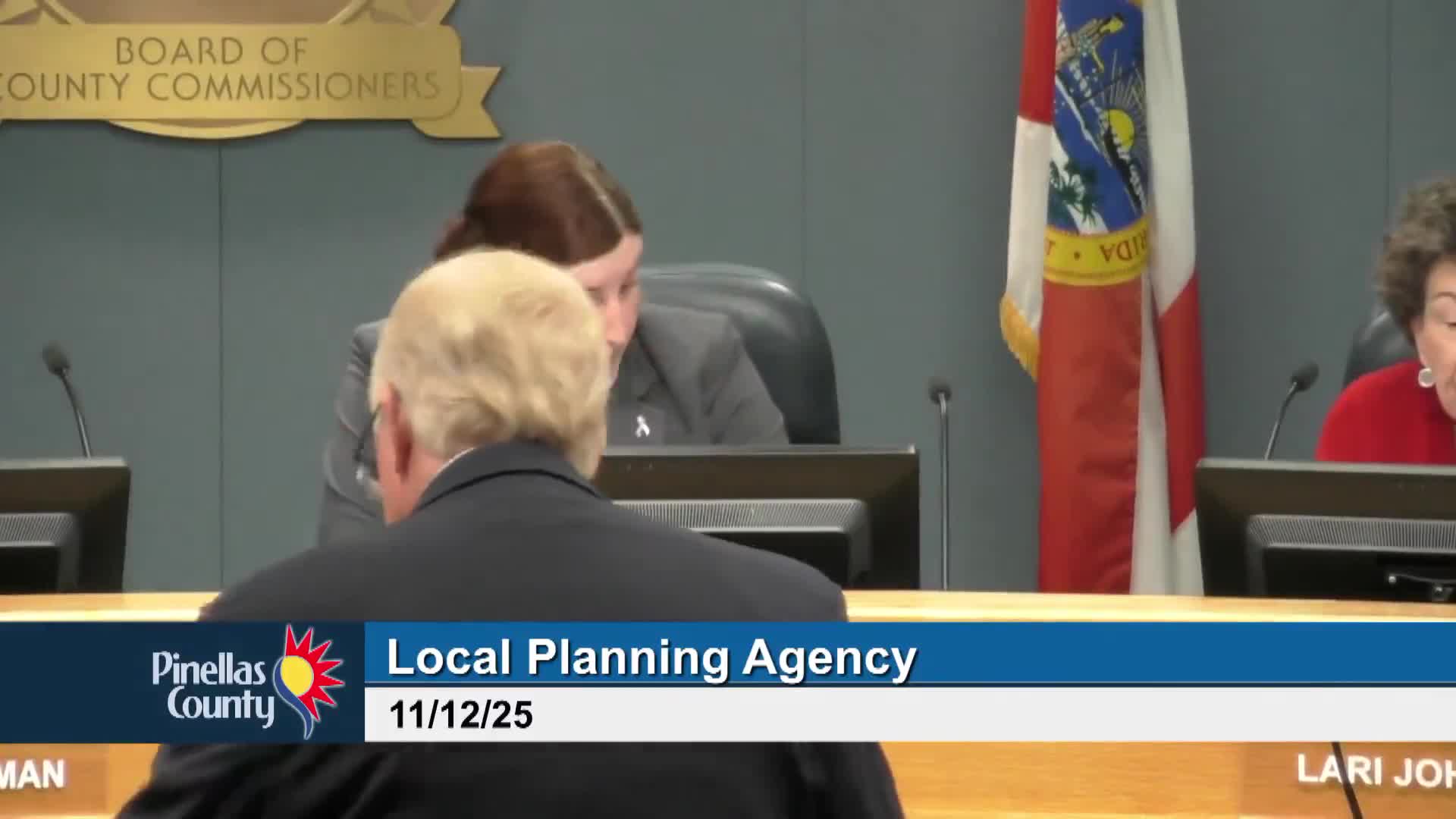 Pinellas LPA approves rewrite of tree rules to simplify mitigation, cap large-lot requirements