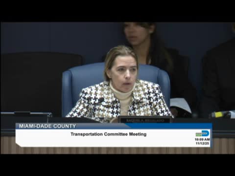 Miami-Dade commissioners approve expansion of Metro Mover subzone over city objection